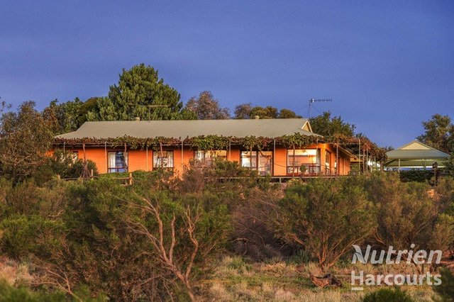 1475 Murtho Road, SA 5340