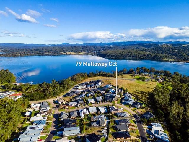 79 Mulloway Circuit, NSW 2548