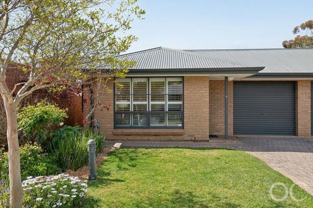 5/52 Maesbury Street, SA 5068