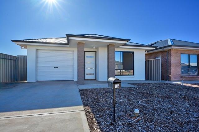 14 Gale Street, SA 5609