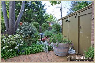 Garden (2010-10-20)
