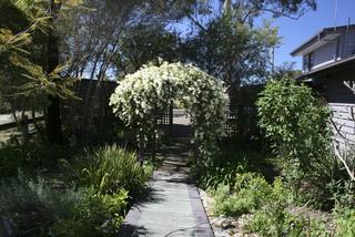 Garden (2010-09-23)