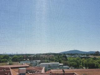 View from kitchen (2016-10-19)