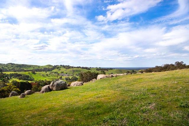 93 Youngs Lane, VIC 3551