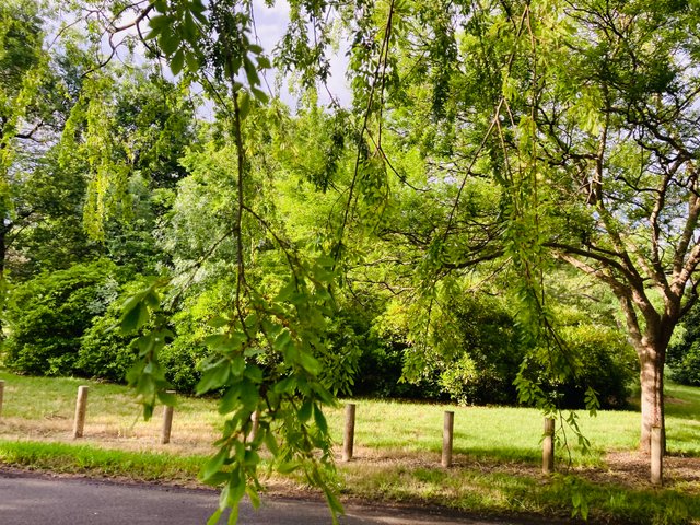 11 Hackett Gardens, ACT 2612