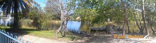 Lake Views - Water Birds