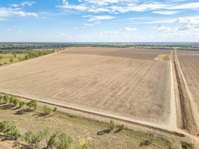 1389 Wambianna Road, NSW 2823