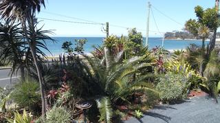 Standard Photo (2017-10-04)