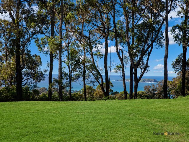 488 The Ridge Road, NSW 2536