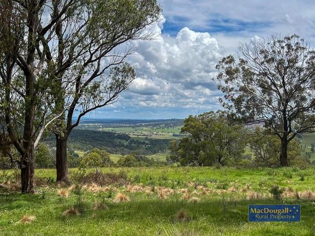 93 Armidale Gully Road, NSW 2350