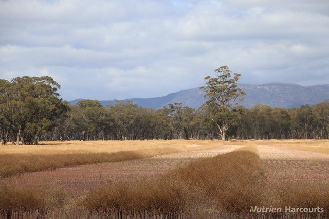 190 Lake Road, VIC 3385