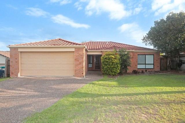 8 Watkins Court, QLD 4208