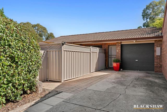 16/47 Ashby Circuit, ACT 2902