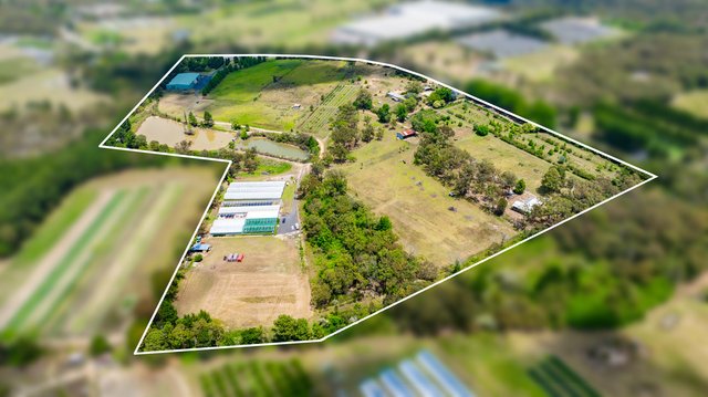 1583 Peats Ridge Road, NSW 2250