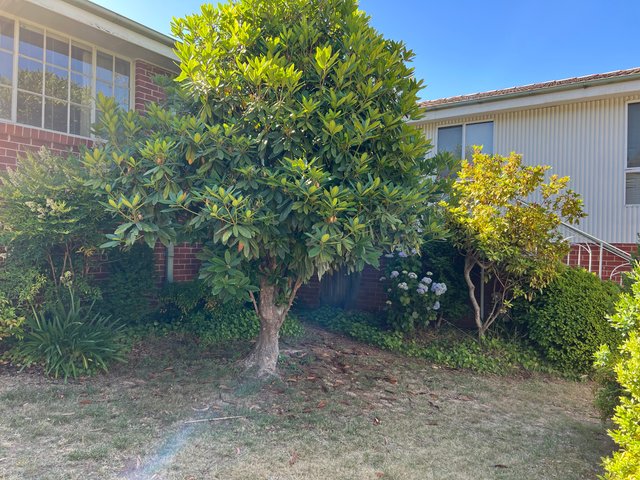 (no street name provided), ACT 2611