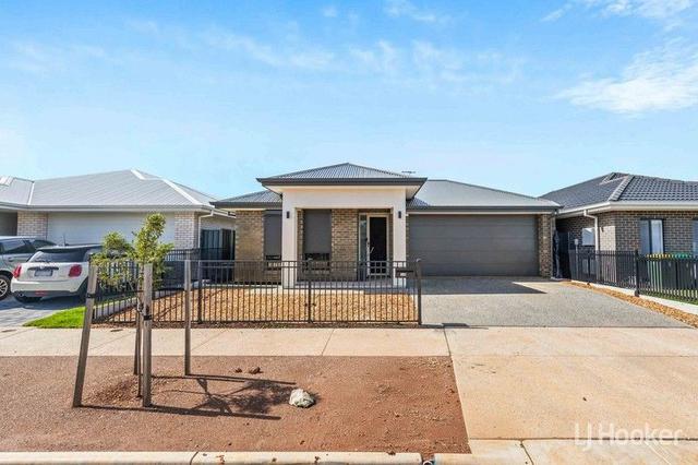 14 Dunkerley Street, SA 5115
