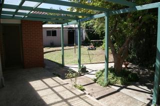 Backyard (2014-07-15)