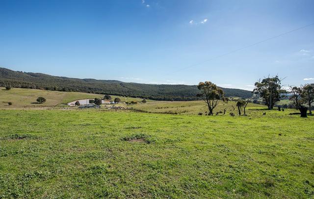 624 Broadford-Wandong Road, VIC 3658