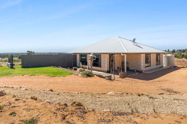 100 Loxton  Drive, SA 5332