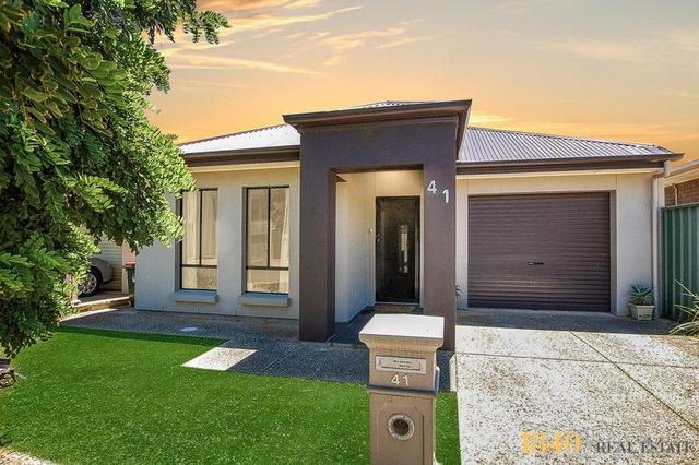 41 Mowbray Street, SA 5095