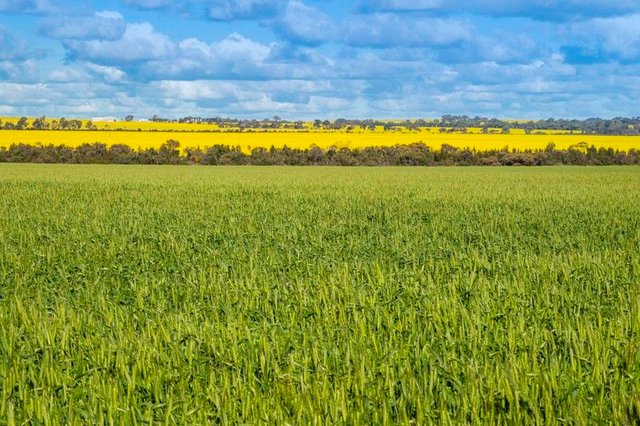 Midlands Road, WA 6515