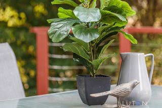4.23Shepherdson_20200113-14.jpg (2020-01-16)