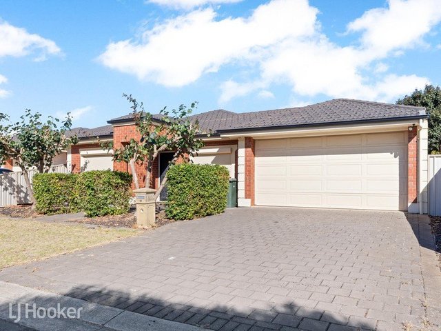 19 Whitbread Avenue, SA 5087