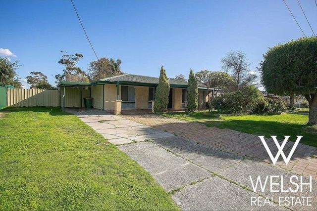 19 Conifer Street, WA 6109