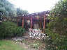 Backyard (2001-04-09)