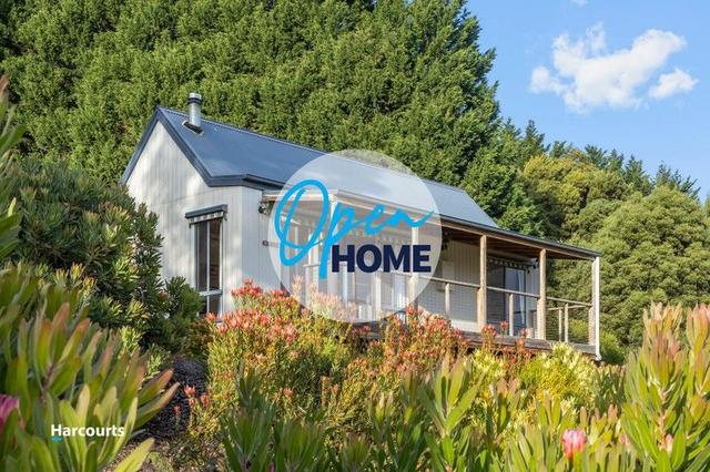 10 Judds Creek Road, TAS 7109
