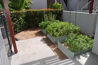 Personal Courtyard 2 (2019-11-28)