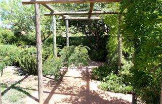 Garden (2009-01-01)
