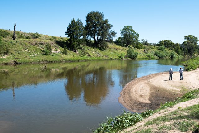 432 Dalwood Road, NSW 2335