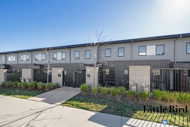 30/8 Trinca Street, ACT 2611