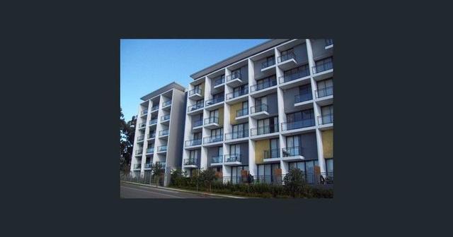 24a/541 Pembroke Road, NSW 2560