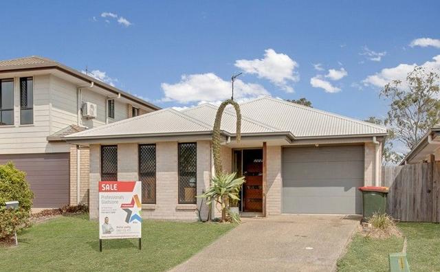 49 Petrel Street, QLD 4680