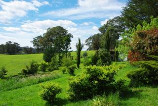 Established Gardens