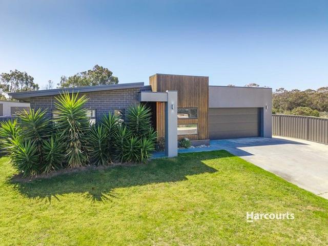 49 Boyes Street, TAS 7315