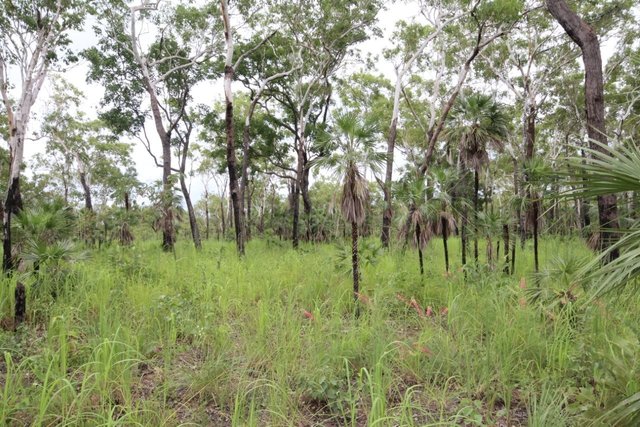 2936 Litchfiled Park Road, NT 0822