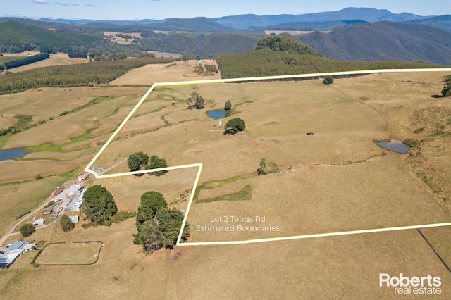 Lot 2 Tongs Road, TAS 7315