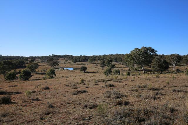 590 Prices Lane, NSW 2850