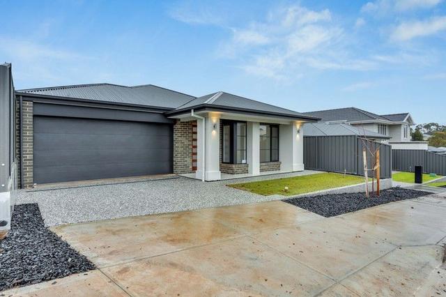 12 Plato Place, SA 5125