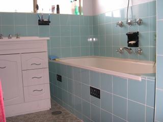 Bathroom (2007-01-12)
