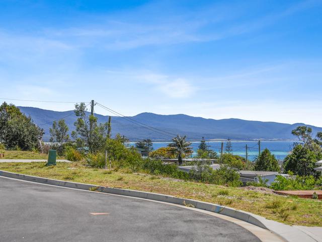 10 Harvey Avenue, TAS 7215