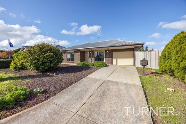 8 Cassinia Street, SA 5114