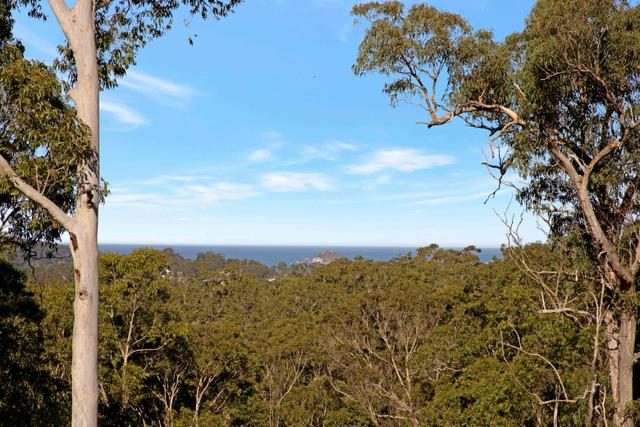 Lot 2 Clyde Road, NSW 2536