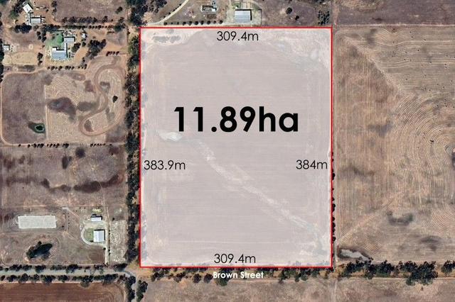 Lot 91 Brown Street, WA 6510