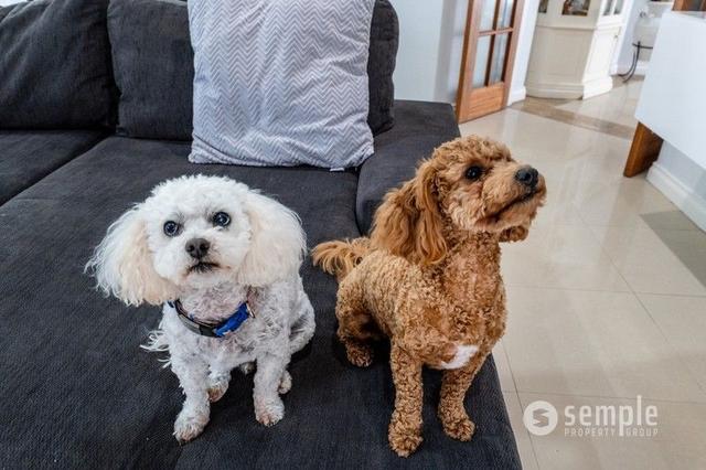 44 Sinagra Way, WA 6164