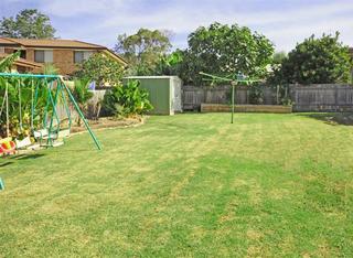 Backyard (2010-02-05)