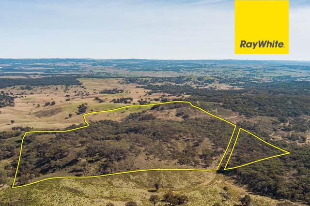 Lot 138 Blakney Creek North Road, NSW 2581